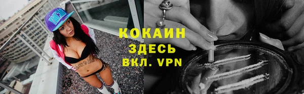 ешки Алексин