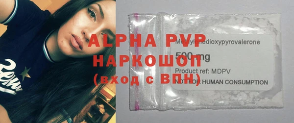 прущие грибы Алзамай