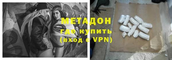 прущие грибы Алзамай