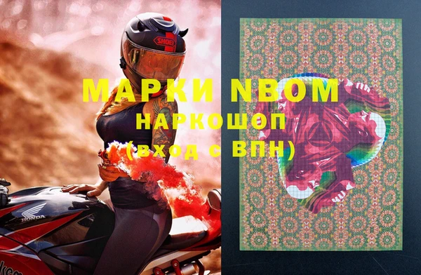 прущие грибы Алзамай
